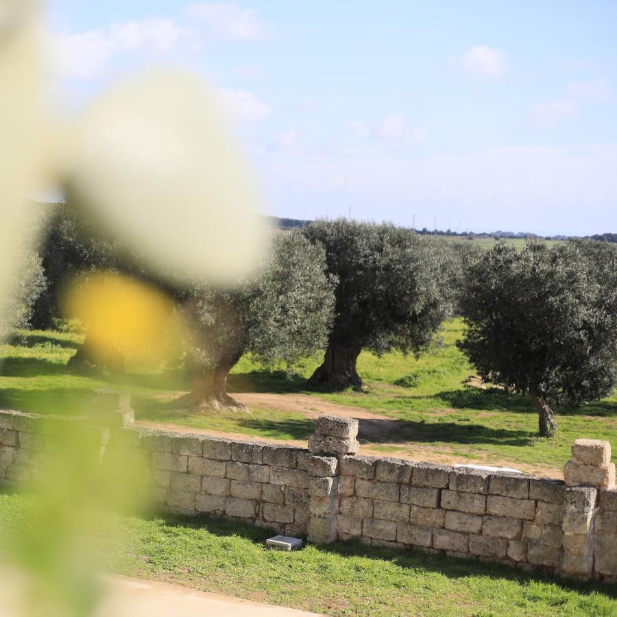 Masseria Cuturi Villa Manduria Eksteriør billede