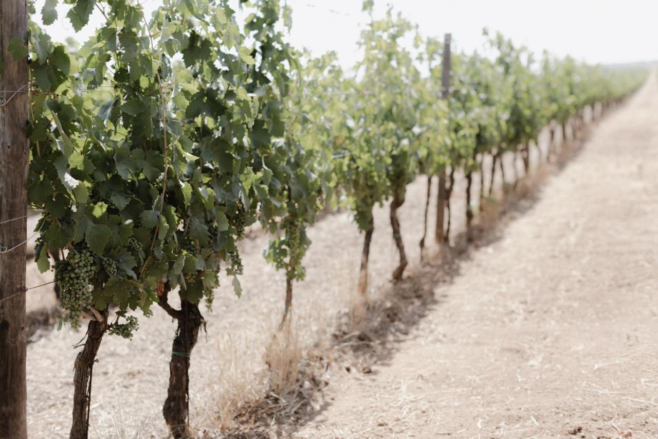 Masseria Cuturi Manduria Eksteriør billede